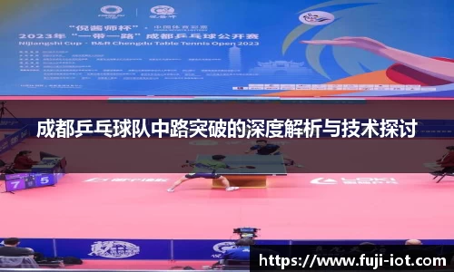 乐盈VI官网