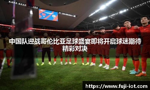 乐盈VI